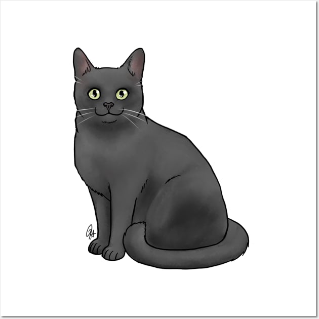 Burmese Cat - Black Wall Art by Jen's Dogs Custom Gifts and Designs